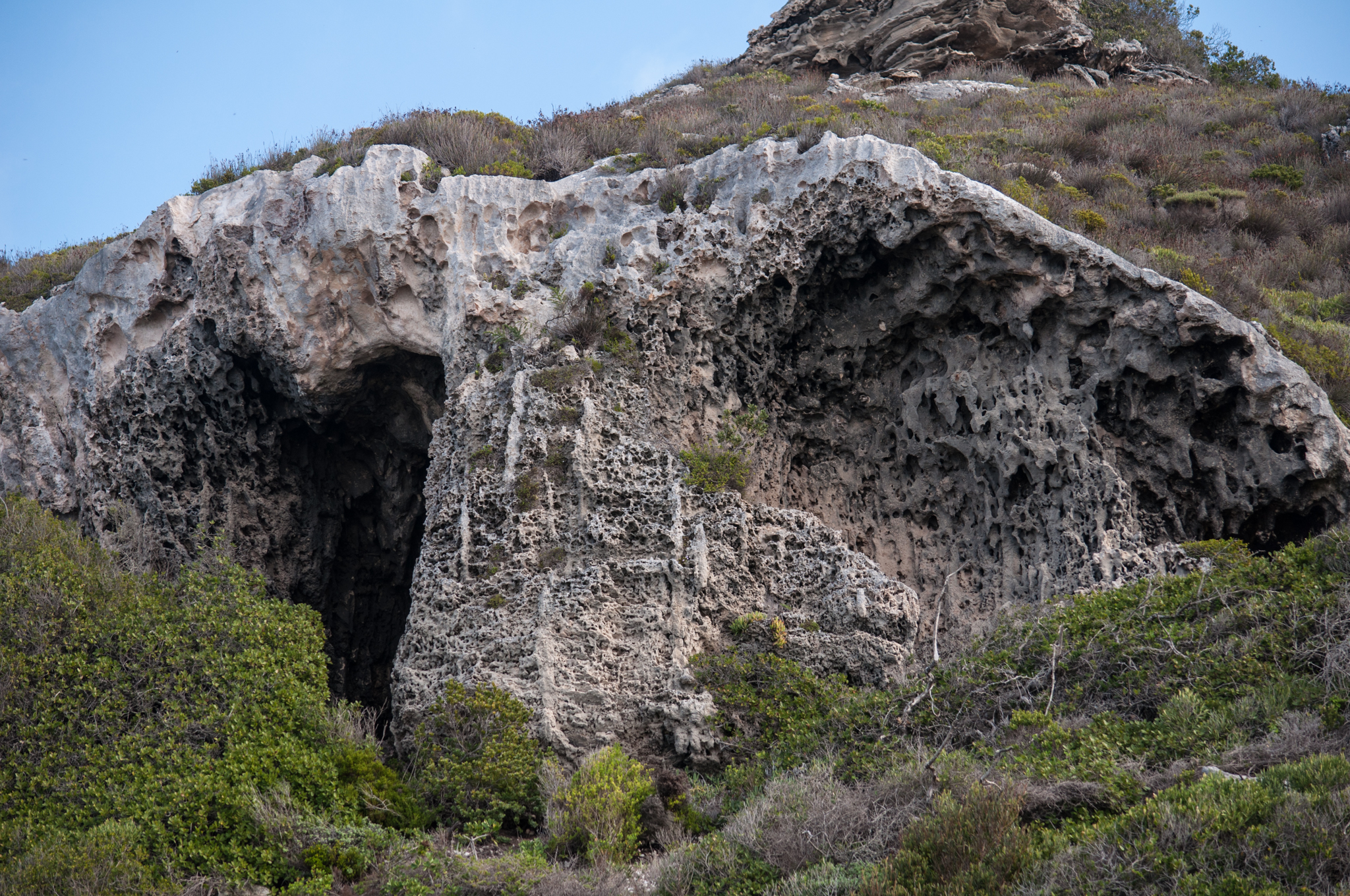 Dune Limestone-2