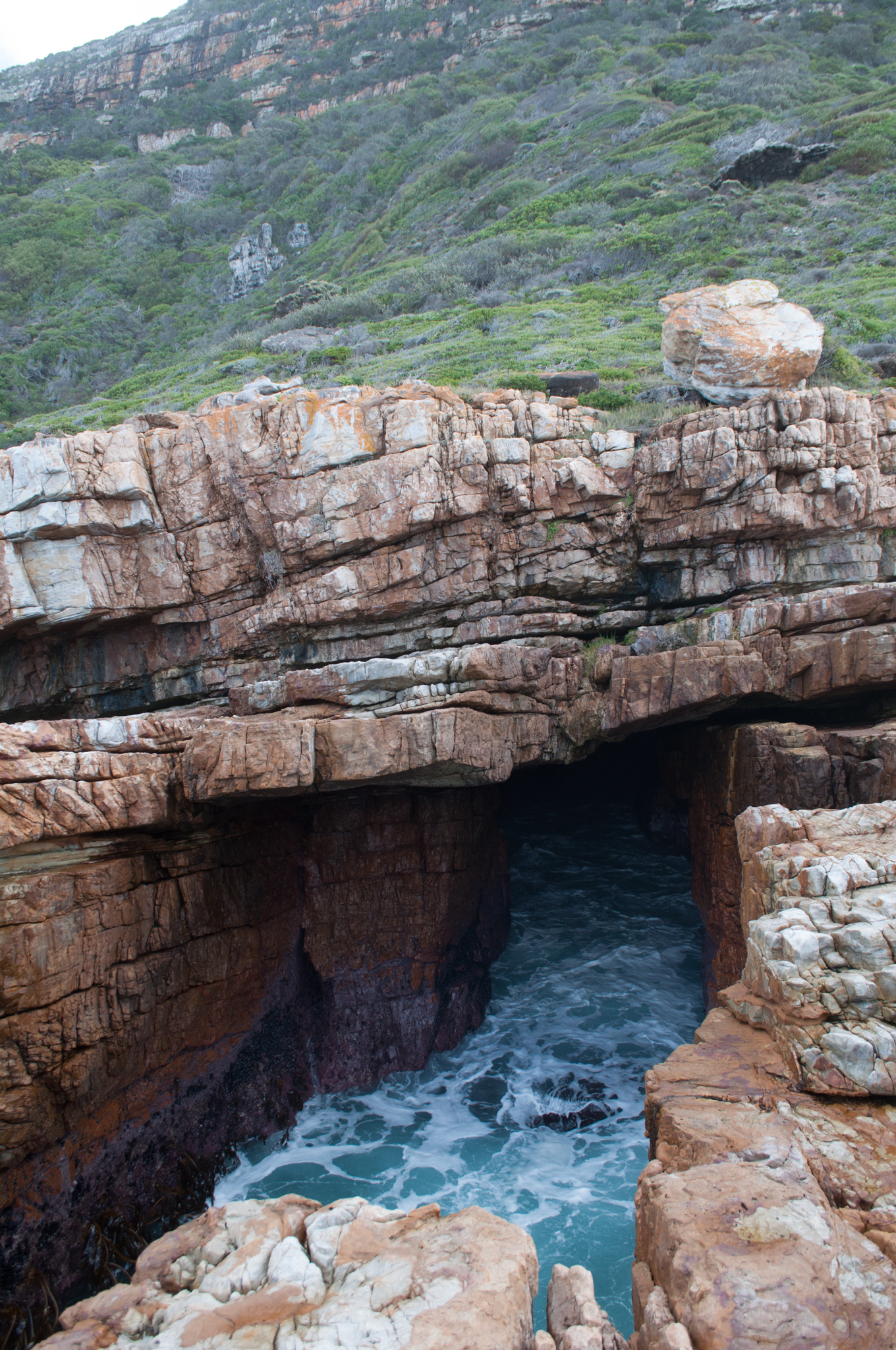 Puff adder Cave-2