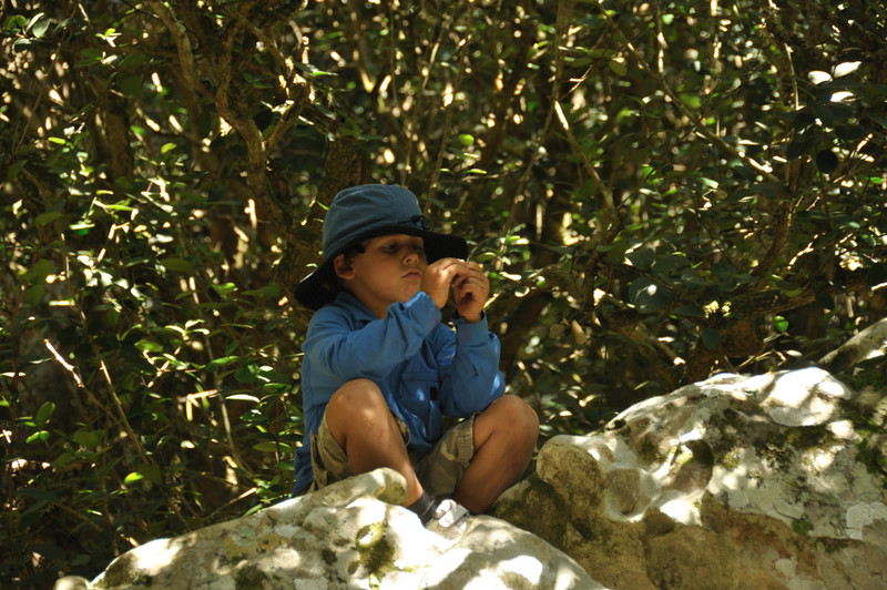 Reece DSC 7272