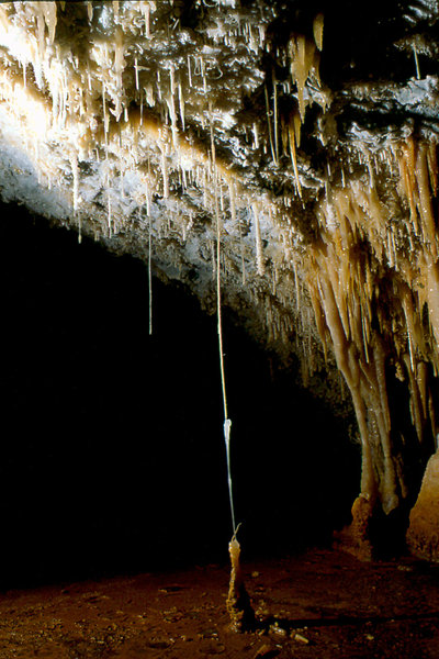 Cango 3 Alpine Room