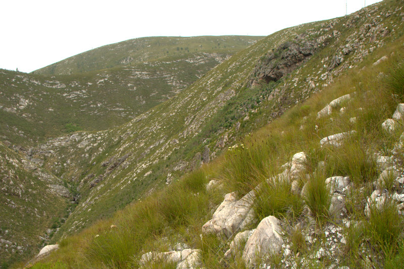 Whitchers Cave